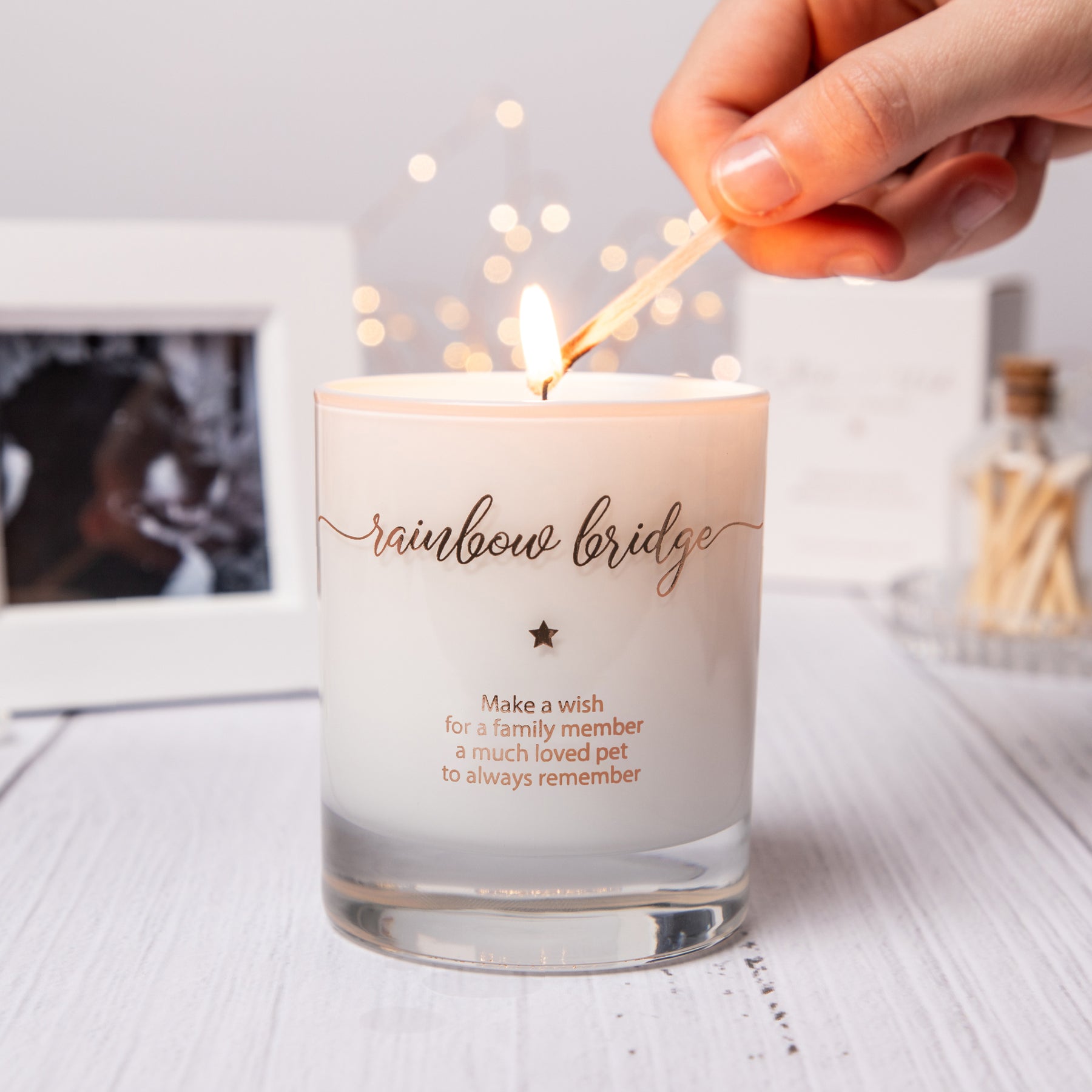 Cat shop memorial candle